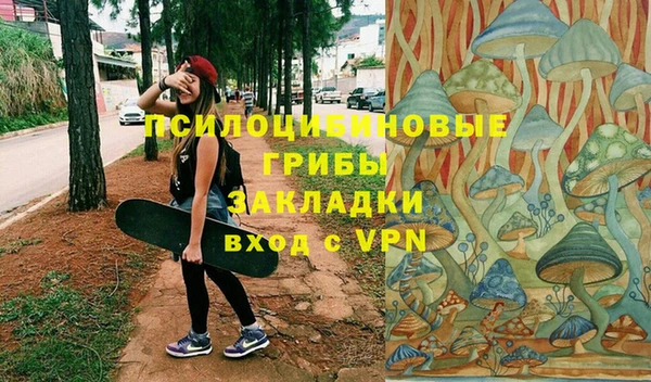 гашик Михайловск