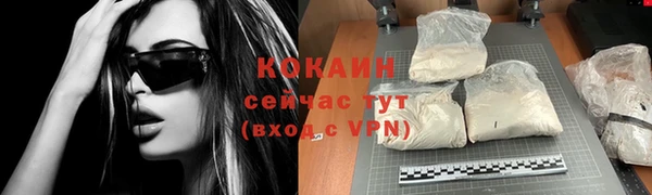 гашик Михайловск