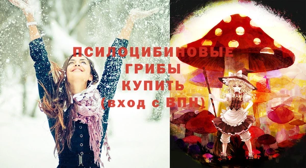 гашик Михайловск