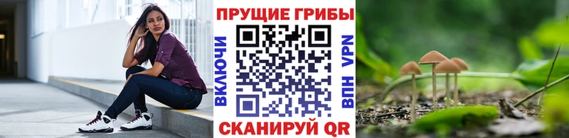 Галлюциногенные грибы GOLDEN TEACHER  наркота  Надым 
